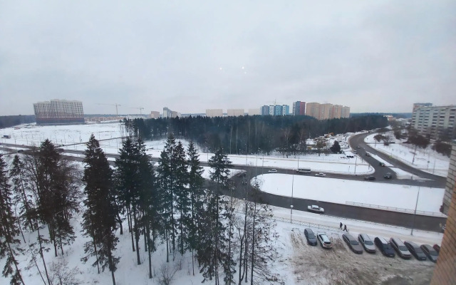 Апартаменты на проспекте Ленина 209