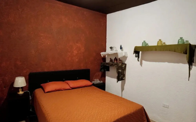 Wonderland Hostel