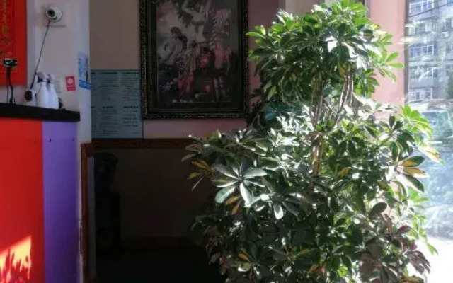 Zijing Hostel