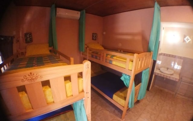 Amel Homestay