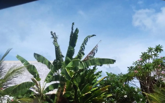 Villa Kalachuchi B&B