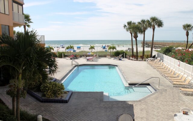 Beach Palms 502