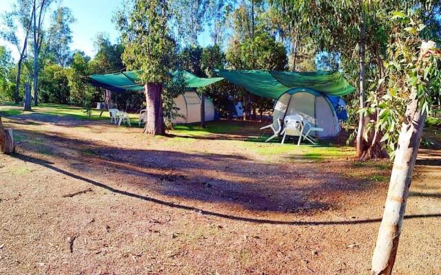 Camping la Naranja