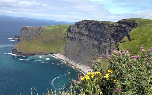 Island View Bed and Breakfast