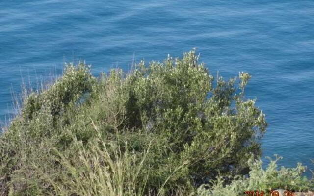 Samothraki Beach Apartment & Suites Hotel