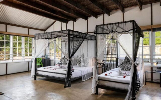 Tea & Experience Factory