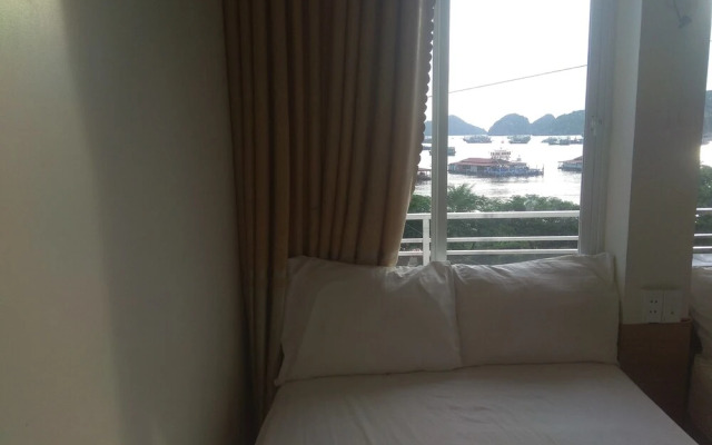 Green Bamboo Forest Cat Ba