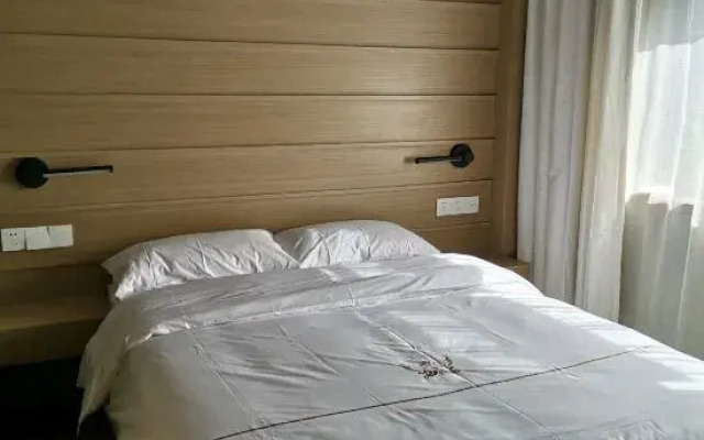 Wudangshan Suwen Homestay