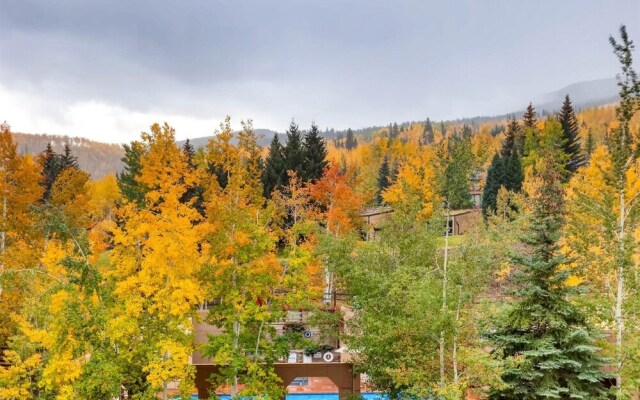 Snowmass Woodrun 9946