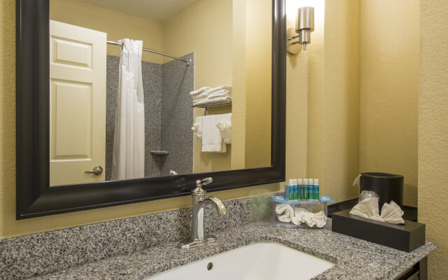 Holiday Inn Express - Suites Houston Space Ce