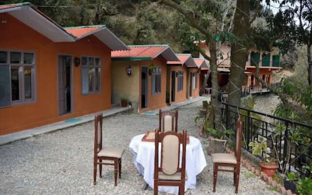 Hostel Abodes Trees of Heaven