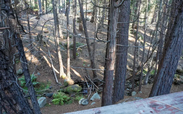 Pine Creek Cabin
