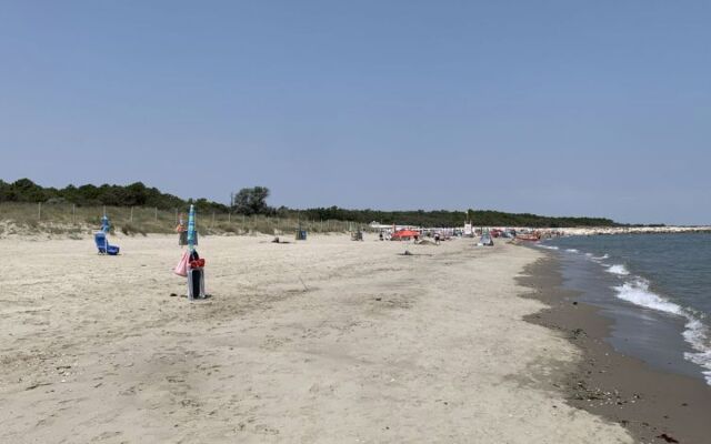 Mare Pineta 42191