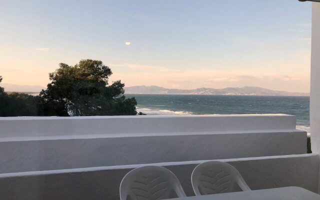Apartaments La Palmera