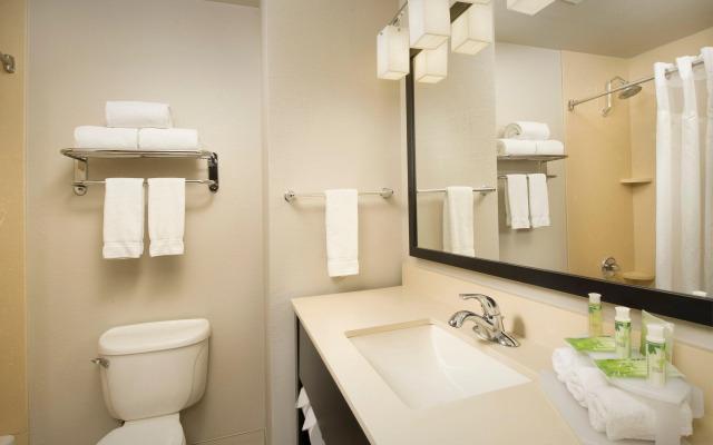 Holiday Inn Express & Suites DFW - Grapevine by IHG