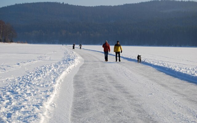 JBX Resort Apartments Lipno