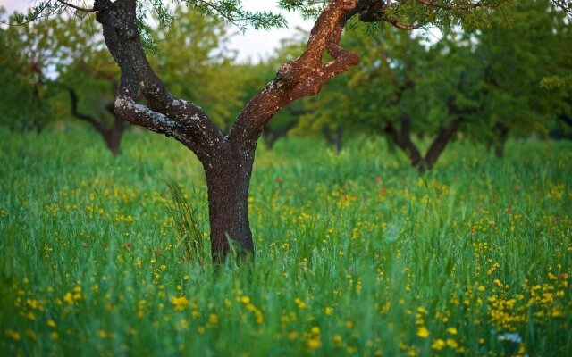 Masseria Ciavea