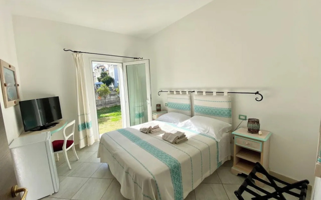 B&B Tigrillo