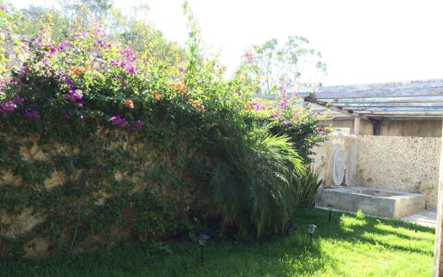Historical Green House In Campeche
