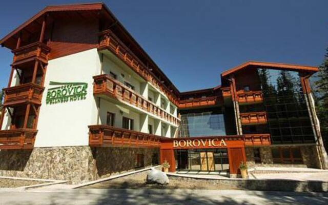 Wellness Hotel Borovica