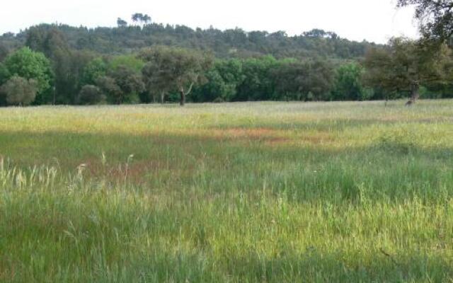 Monte Do Areeiro