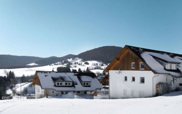 Schwarzwaldblick 27070