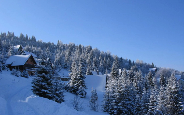 Villa Kostic Kopaonik