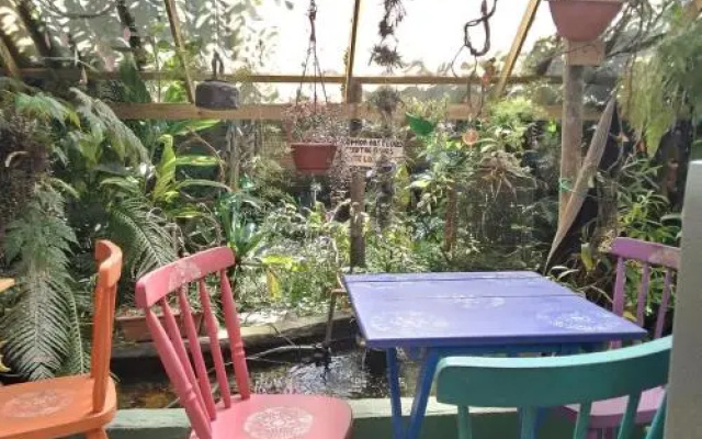Campeche Hostel