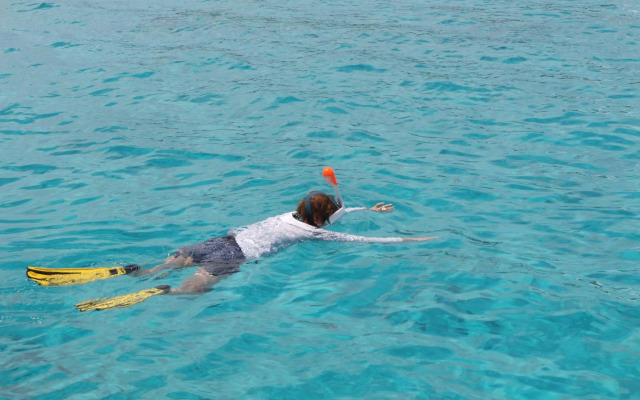 Nungwi Backpacker Apartments