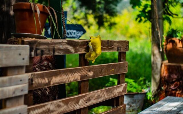 Namaste Hostel & Camping