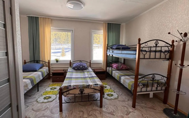 Кедр Золотой