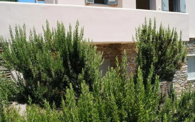 M. Houses 5