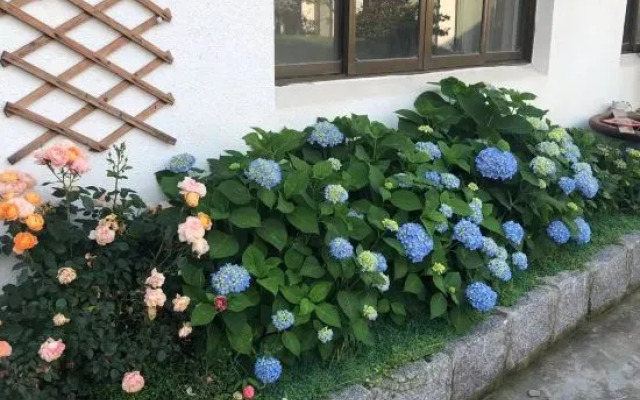 Yuyao Old Shen's Tea House