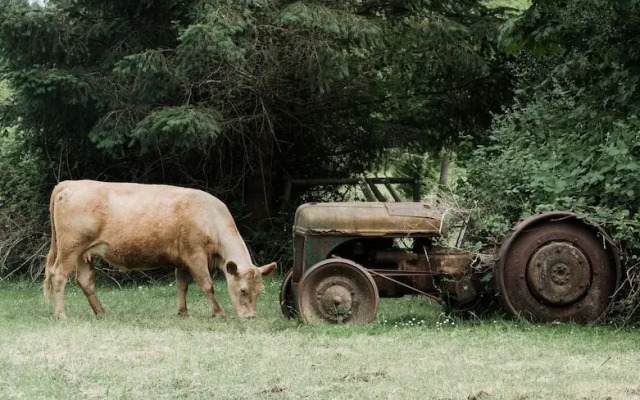 Fossil Beach Farm (Glamping)