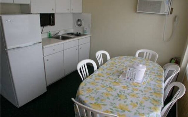 American Safari Motel