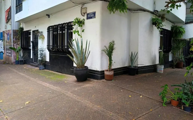 Ave Ámsterdam at Parque México