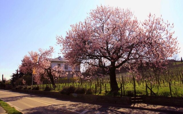 Kurpark-Residenz Deidesheim