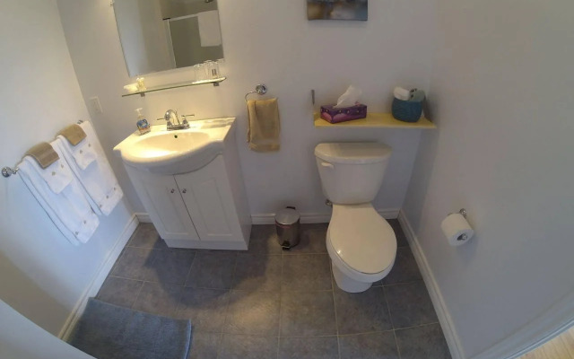 The Fiddle and The Sea B&B