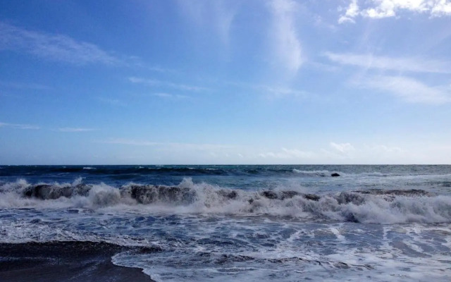 Ocean Park II