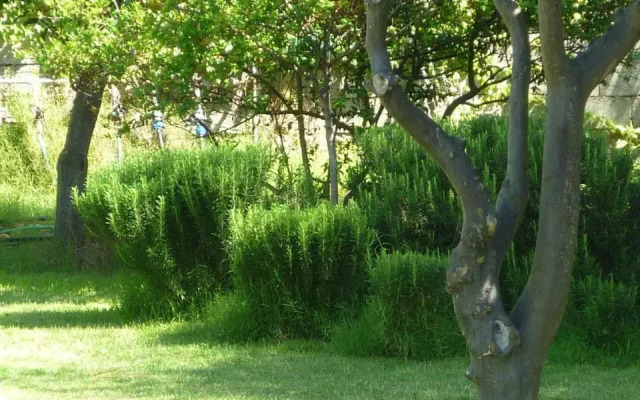 B&B "Sa Ferula"