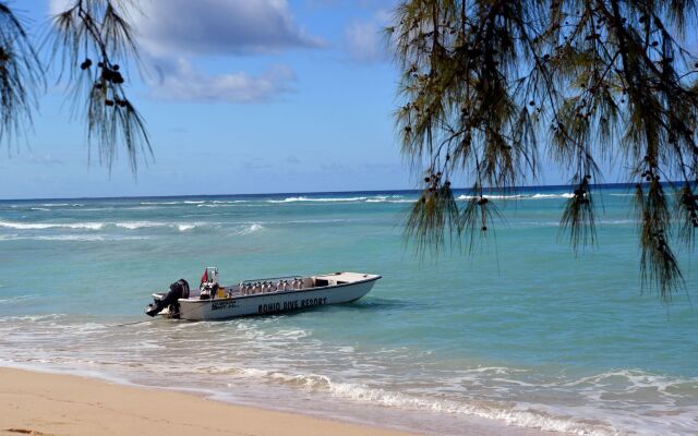 Bohio Dive Resort