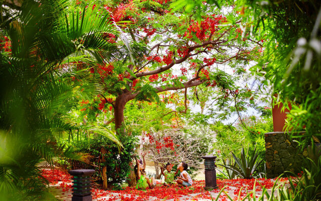 Iloha Seaview Hotel