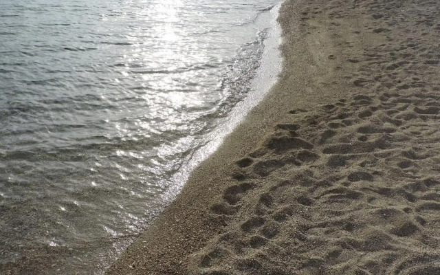 Pet - 20m From the sea - H