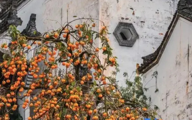 Yunshuju Guesthouse (Wuyuan Muling)
