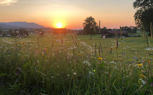 Ferienwohnung Wallner