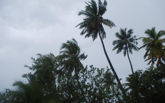 Coco Cottage - Local Style Maldives