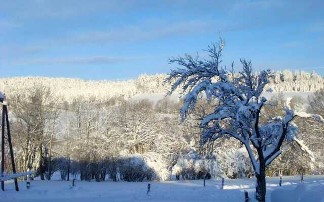 House With 3 Bedrooms in Girmont-val-d'ajol, With Wonderful Mountain V