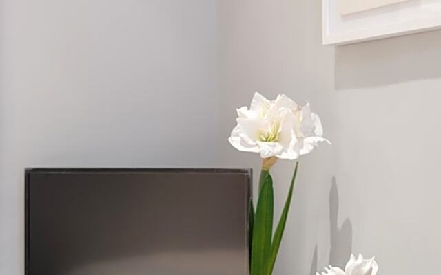 Rome in your heart - Spagna Single Room