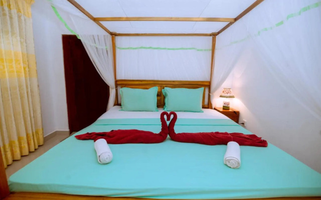 Rainforest River Edge