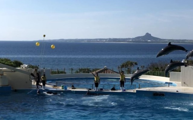 Okinawa Freedom